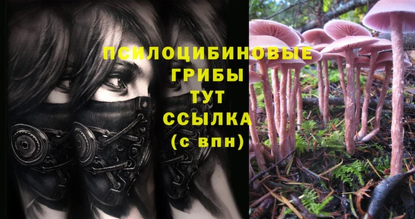 герыч Абаза