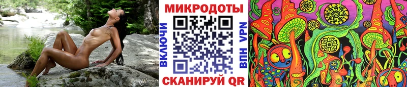 наркота  Владимир  Галлюциногенные грибы Magic Shrooms 