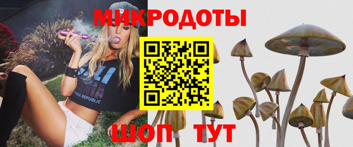 Галлюциногенные грибы мухоморы Владимир