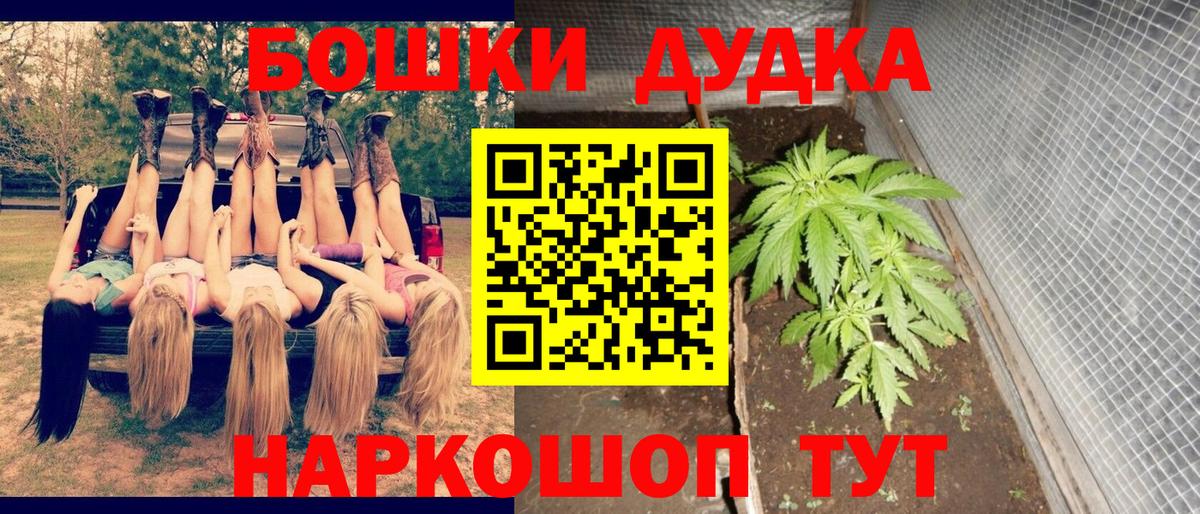Бошки Шишки гибрид Владимир